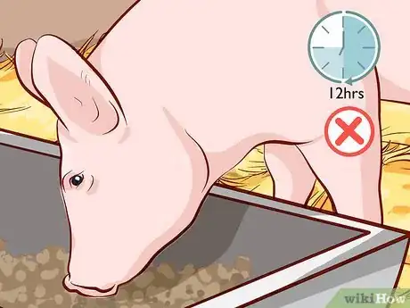 Image titled Raise Pigs for Meat Step 12