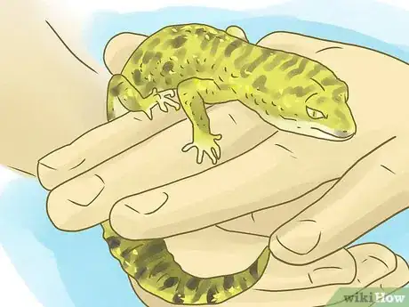 Image titled Barter Step 4