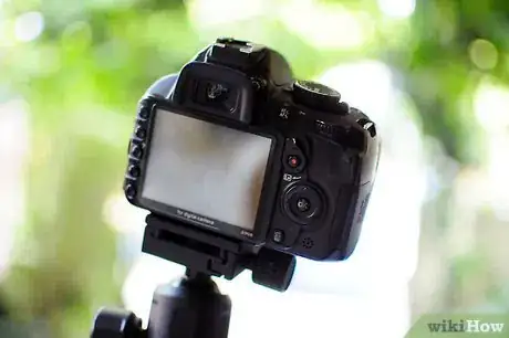 Image titled Photograph a Dragonfly Step 4