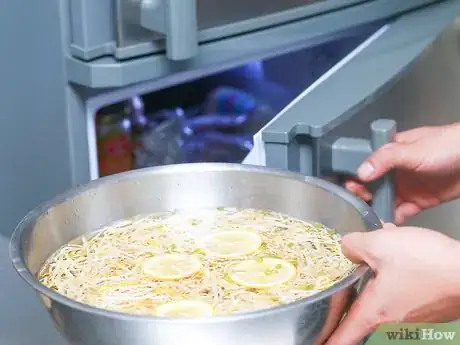 Image titled Store Bean Sprouts Step 5