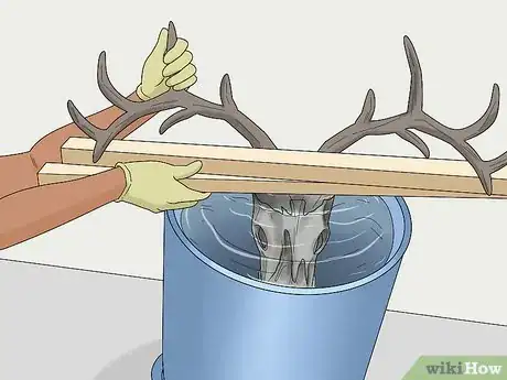 Image titled Do a European Mount Step 6