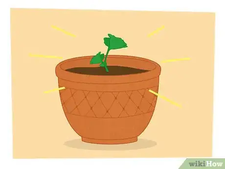 Image titled Propagate Your Plants Step 14