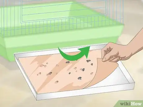 Image titled Clean a Cockatiel Habitat Step 2