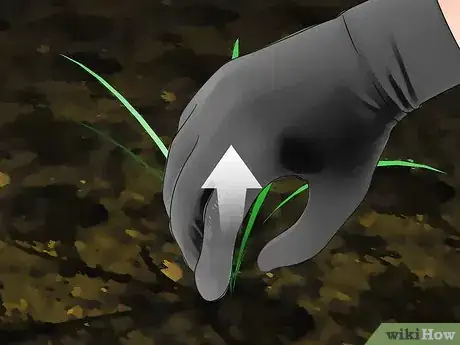 Image titled Control Johnson Grass Step 15