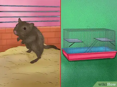 Image titled Treat Respiratory Problems in Gerbils Step 3