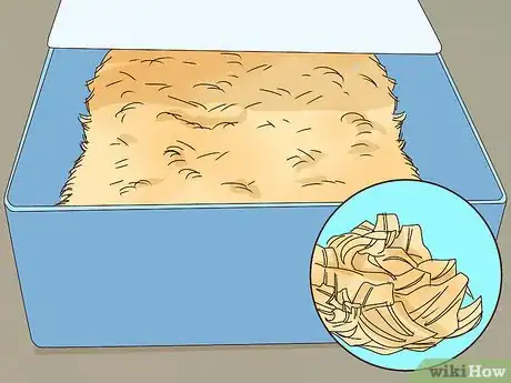 Image titled Raise Quail for Eggs Step 8