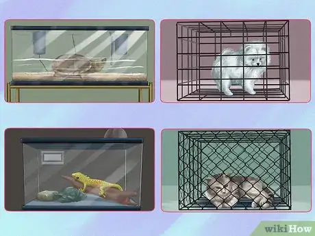 Image titled Choose a Pet from a Pet Store Step 2