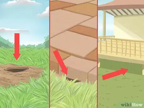 Image titled Catch a Chipmunk Step 2