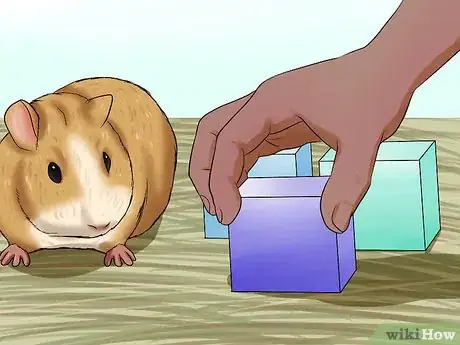 Image titled Prevent Malocclusion in Guinea Pigs Step 6