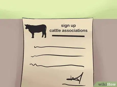 Image titled Show Heifers Step 7