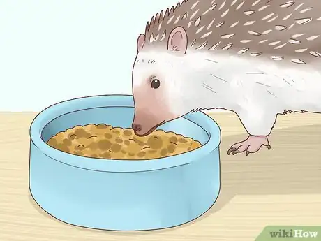 Image titled Take Care of a Hedgehog Step 12