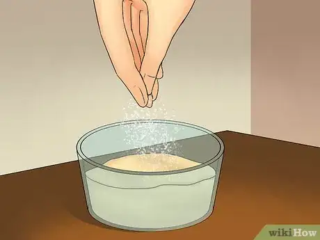 Image titled Freeze Hummus Step 9