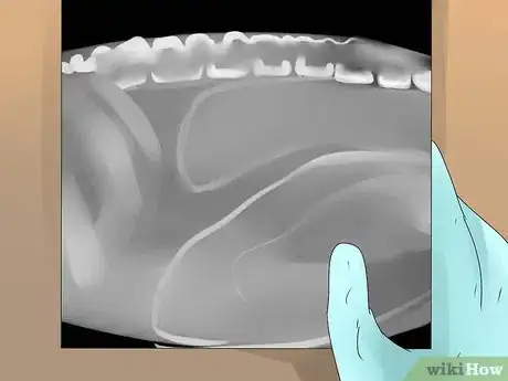 Image titled Diagnose and Treat Dog Diarrhea Step 9