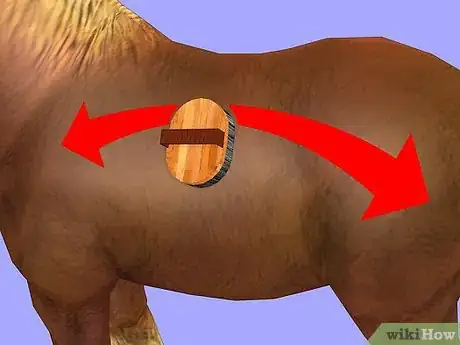 Image titled Show a Miniature Horse Step 8