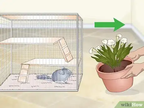 Image titled Avoid Poisoning a Chinchilla Step 4
