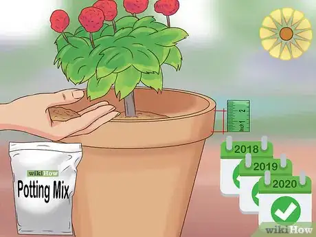 Image titled Maintain a Planter Step 14