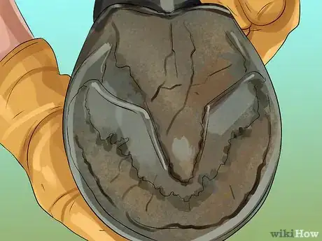 Image titled Clean a Horse's Hoof Step 13