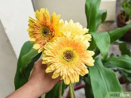 Image titled Arrange a Bouquet of Flowers Step 5