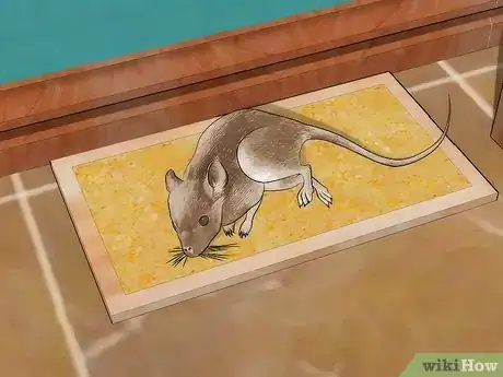 Image titled Control Mice Step 2