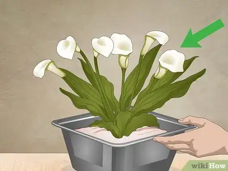 Image titled Decorate a Niche Step 2