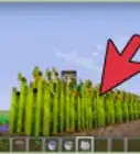 Grow Wheat in Minecraft