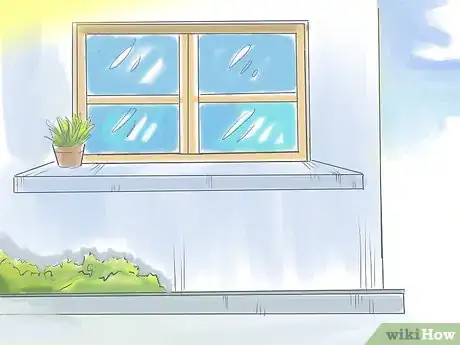 Image titled Plant Pansies in Containers and Pots Step 6