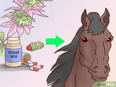 Image titled Feed a Horse a Mint Step 9
