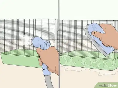 Image titled Reduce Rat Odor Step 13
