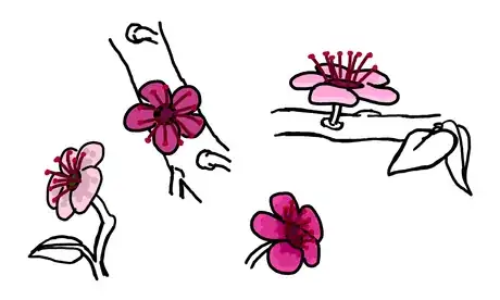 Image titled Cherry 8.png