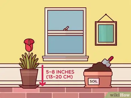 Image titled Get Calla Lilies to Flower Step 1