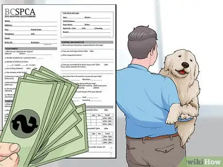 Image titled Adopt a Dog from a Humane Society or Animal Shelter Step 12