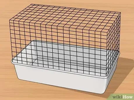 Image titled Care for Palomino Rabbits Step 1