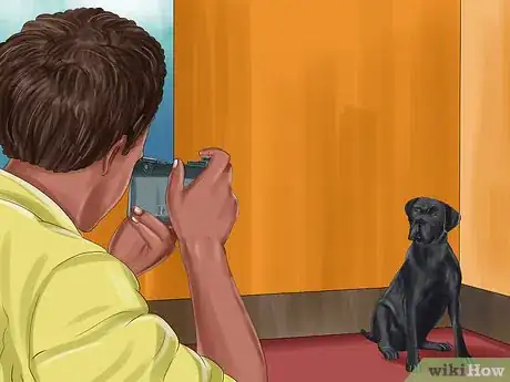 Image titled Take Pictures of Your Black Pet Step 7