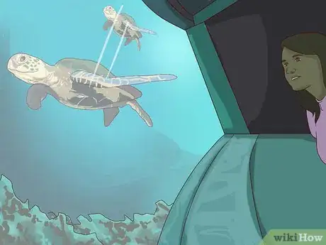 Image titled Visit SeaWorld San Diego Step 25