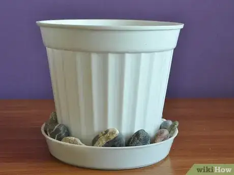 Image titled Grow Moon Flower Step 2