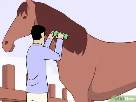 Image titled Saddle a Horse Western Step 1