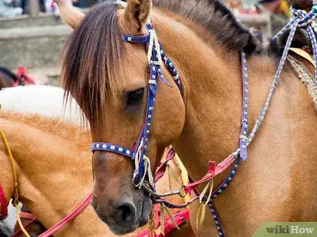 Image titled Celebrate an Irish Christmas Step 3