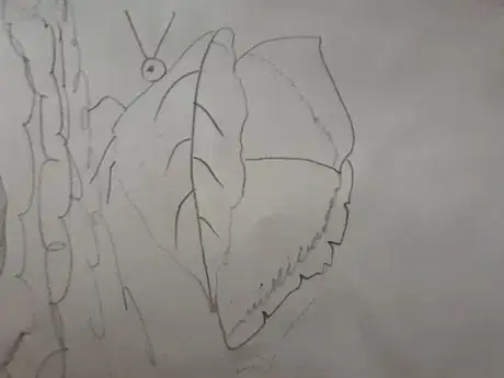 Image titled 20180706_141944