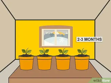 Image titled Sprout Sweet Potatoes Step 13