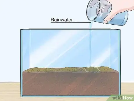 Image titled Grow Blood Worms Step 4