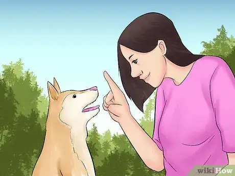 Image titled Train Teenager Stage Dogs Step 1