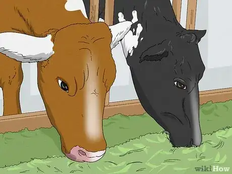 Image titled Increase Dairy Milk Production Step 1