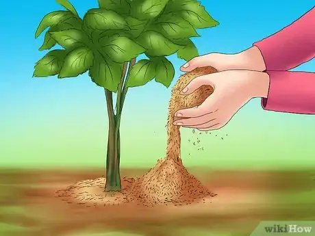 Image titled Winterize a Perennial Hibiscus Step 4