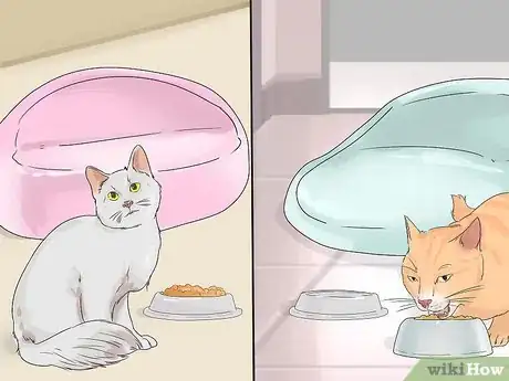 Image titled Prevent Fights Between Cats Step 10