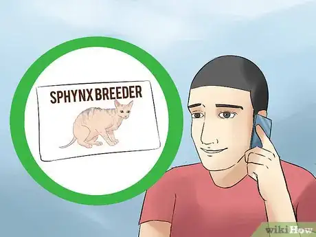 Image titled Identify a Sphynx Cat Step 11