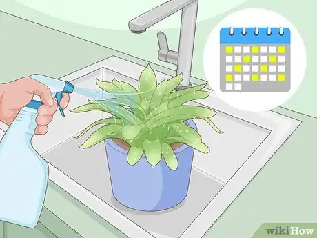 Image titled Create Humidity for Indoor Plants Step 4