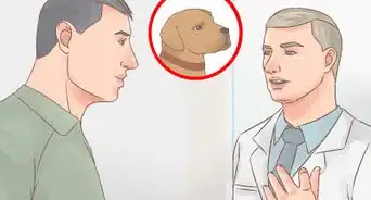 Become Friends with an Unfriendly Dog