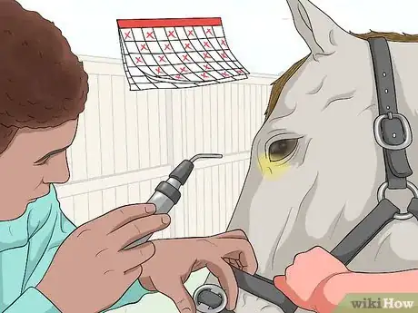 Image titled Protect an Injured Eye on a Horse Step 7