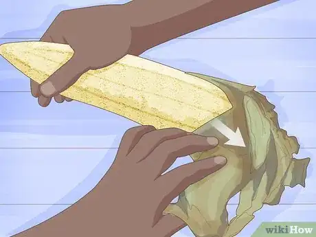 Image titled Grow Loofah Sponges Step 12