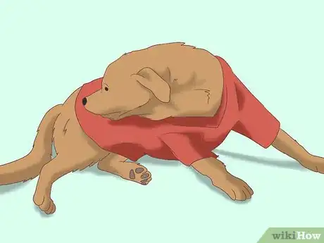 Image titled Remove Ticks from Furry Pets Step 9Bullet1